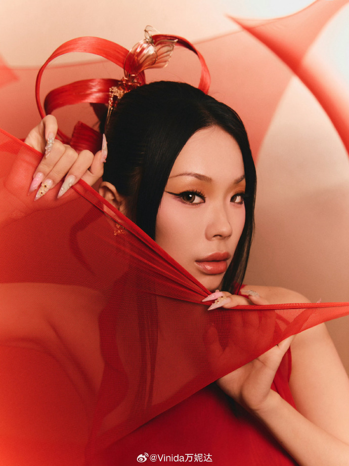 万妮达，音乐界的璀璨之星-第2张图片