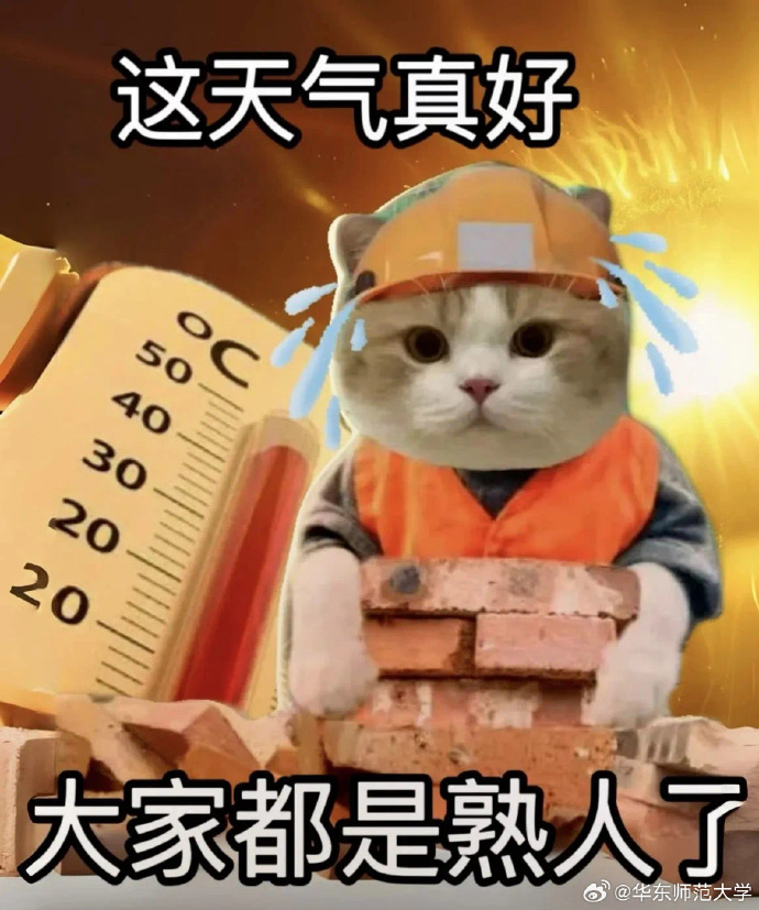 探索天天干网的魅力与价值-第1张图片