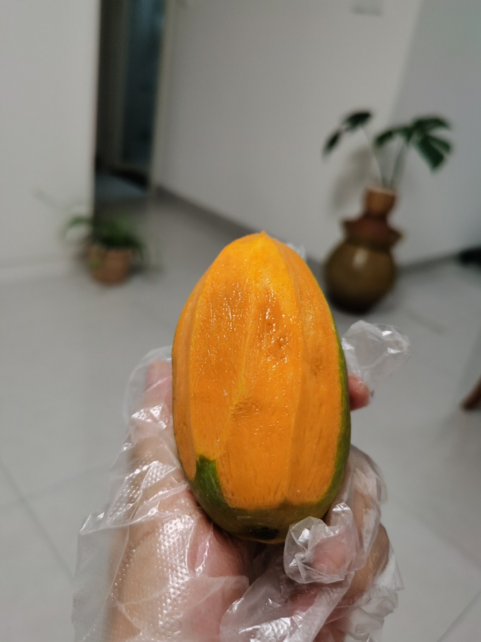 芒果视频一二三2021.2021芒果视频一二三，2021年的流行与变革-第2张图片