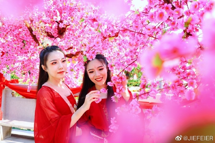 春暖花开性8最新地址春暖花开时节，探索最新地址的美丽之旅-第2张图片