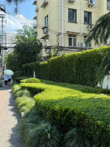 悸动地铁1v3笔趣阁林娟悸动地铁，一场意外的邂逅