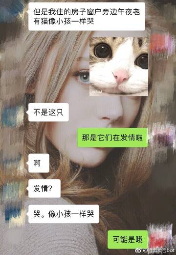 午夜寂寞的排解之道，安卓平台上的应用选择-第2张图片