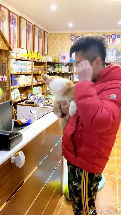 琪琪原网页20岁以上琪琪色原20岁网站，网络世界的探索与思考-第2张图片