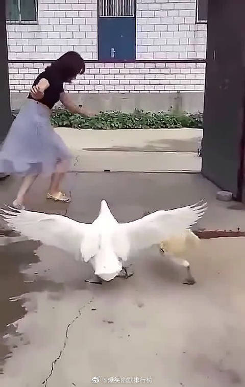 探索网络世界中的影视内容——久久99AV无色码人妻蜜桃
