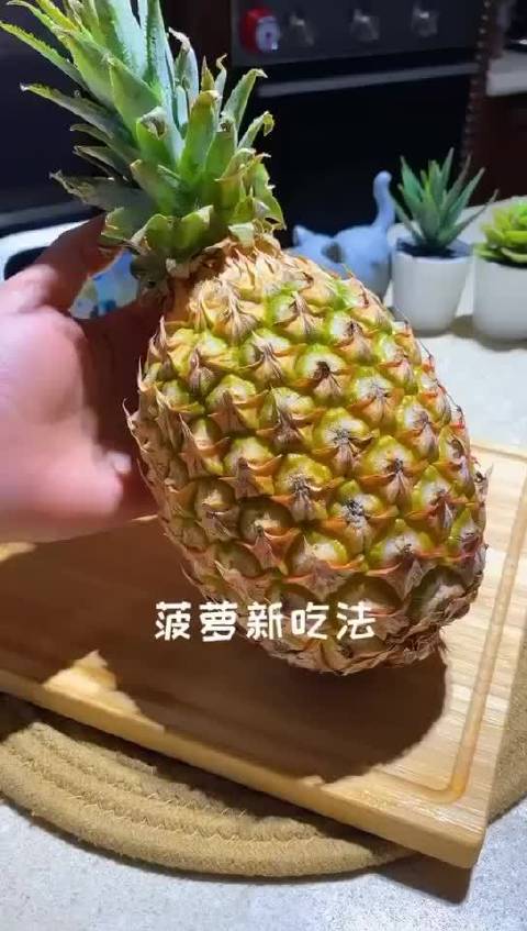 圆滚滚的大扔子视频在线观看菠萝视频高清在线观看体验-第1张图片