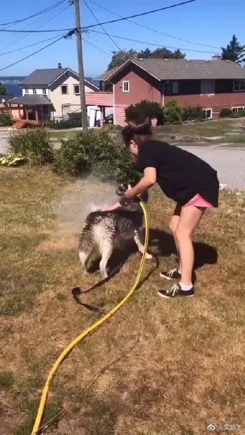 一个人看的www神马视频探索个人兴趣的边界，关于一个人看的www神马视频的深度解析-第2张图片