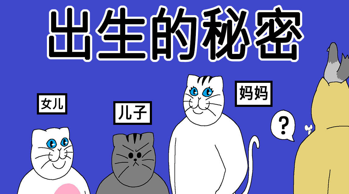 午夜刺激黄瓜西瓜葡萄榴莲游戏女儿的朋友午夜游戏，黄瓜、西瓜、葡萄与榴莲的奇妙冒险-第1张图片
