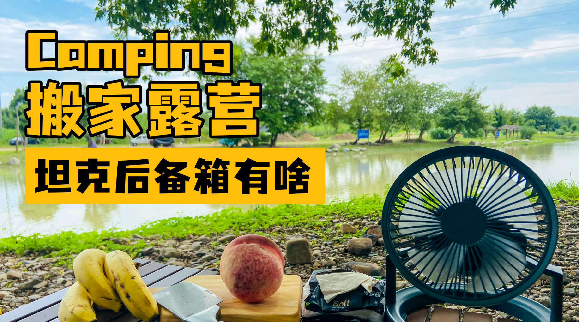 把你的扇贝打开给我好不好视频下载扇贝的秘密——探索与尊重的界限