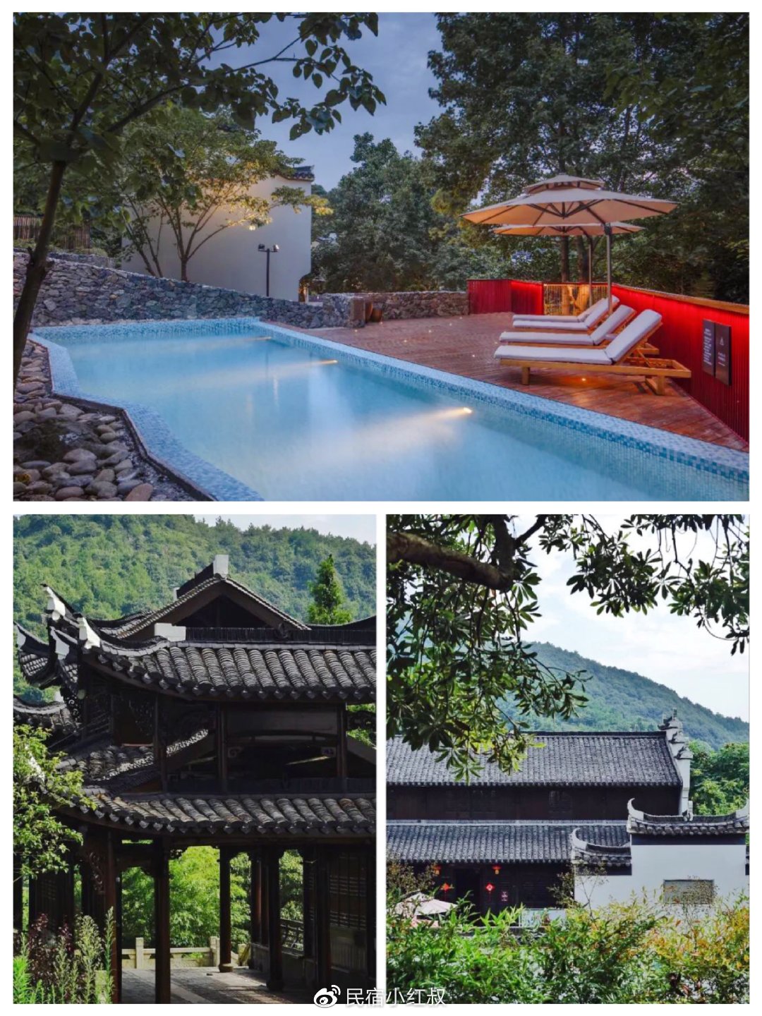 仙踪林最新地址——欢迎您的到来