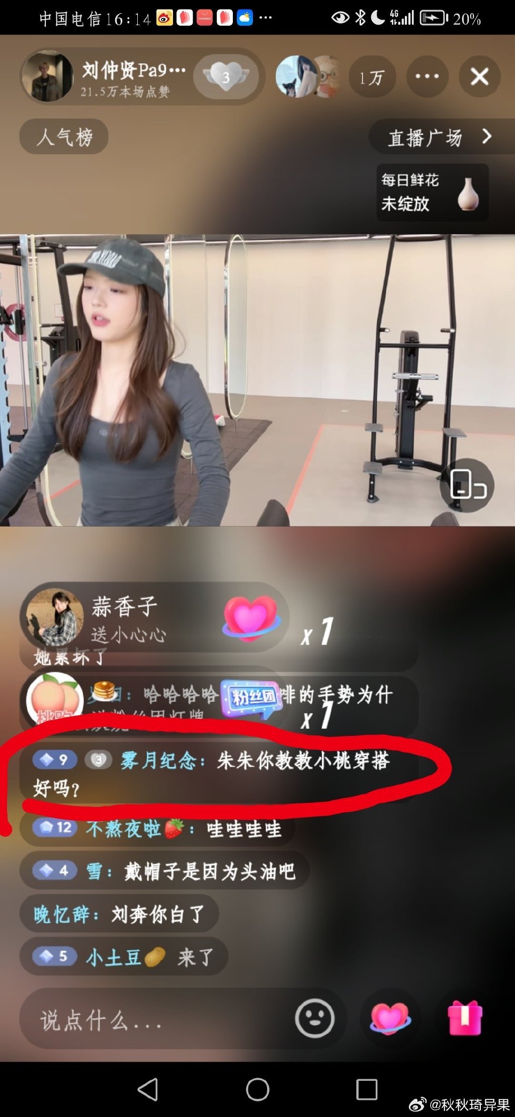 桃子直播视频免费观看桃子直播视频，免费观看的精彩世界-第2张图片