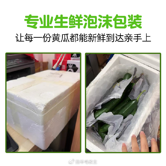 黄瓜app官网ios黄瓜app官网iOS下载及使用指南-第2张图片