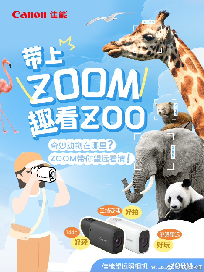 Zoom动物高清视频，探索自然之美的奇妙旅程