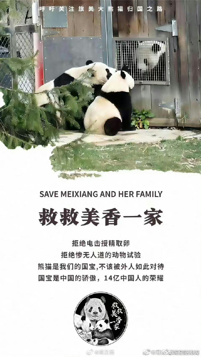 放学后的特殊教育桃子移植视频放学后的特殊教育，桃子移植的奇迹之旅