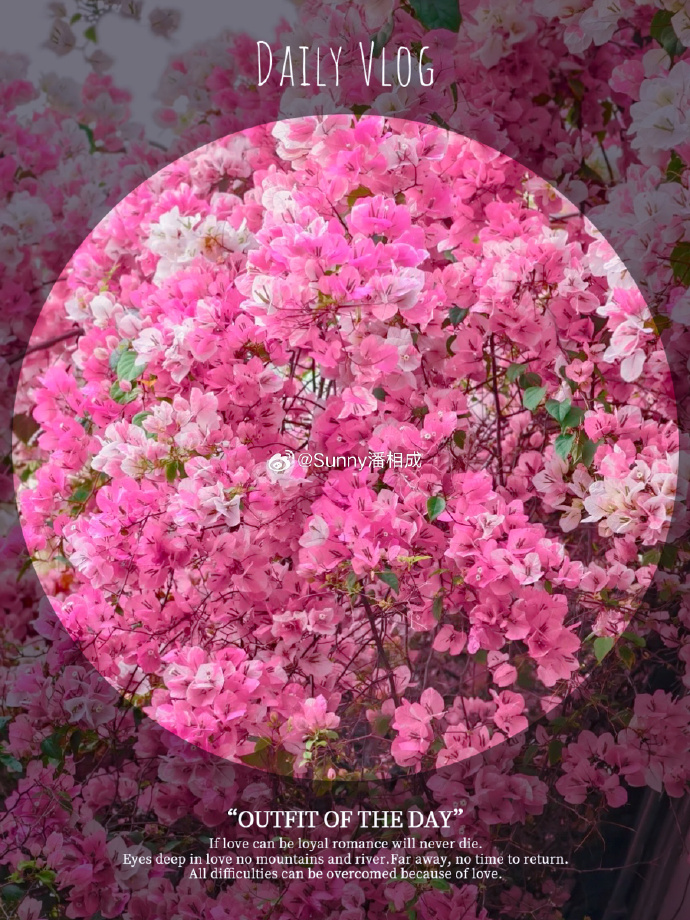 桃红色桃红色，一种色彩的诗意与浪漫