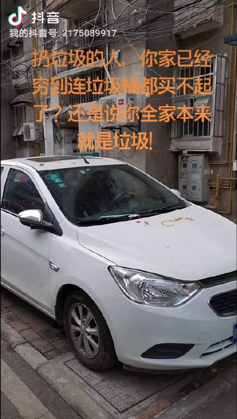 a圾片目录大全——探索与发现-第2张图片