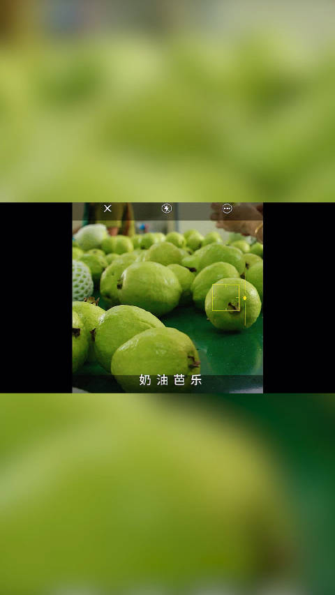 芭乐appzyx探索芭乐APP，免费进入18+站长统计的安卓体验-第1张图片