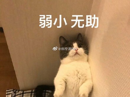 TINGHAODE8 CC探索TINGHAODE8 CC的魅力与价值