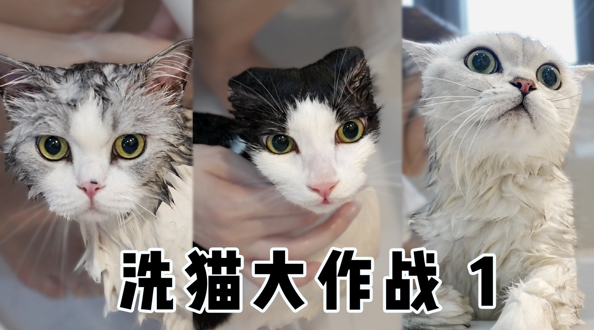 一天接10个客人累趴视频一天接10个客人，身体极限的挑战与应对策略
