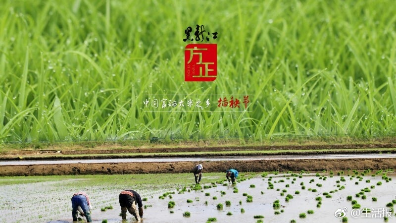 春雨直播，在线观看视频免费播放的魅力之旅