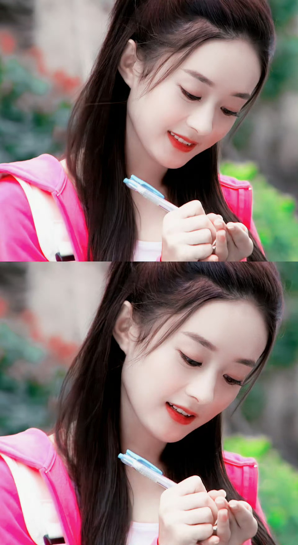 江百合的美丽与坚韧-第3张图片