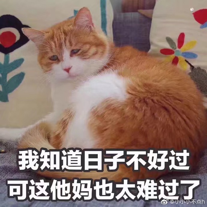 大学第一次没了怎么办大学初遇，第一次的失落与新生-第1张图片