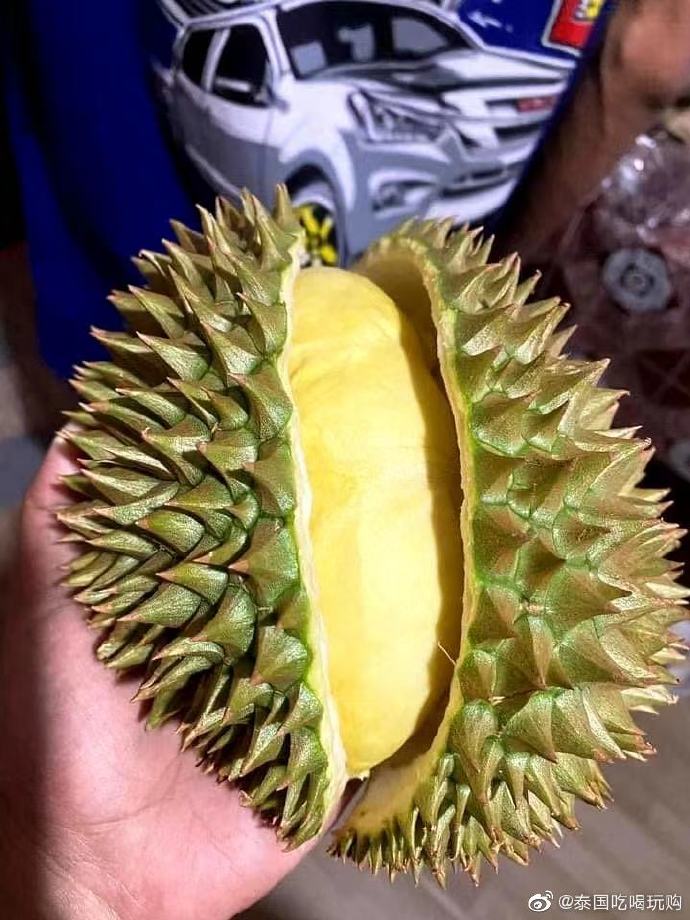 榴莲视频色板APP网站进入VIPOPPO下载榴莲视频色板APP，VIP体验与OPPO下载指南