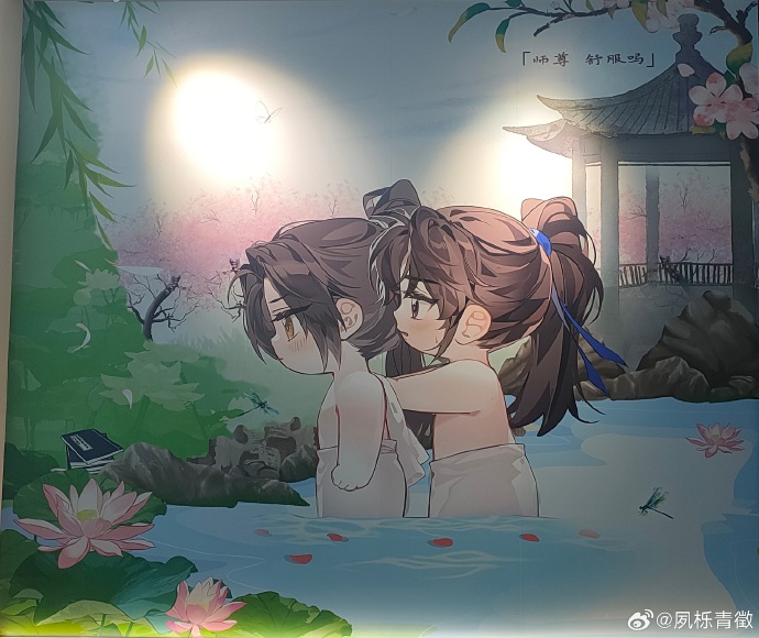 墨微雨楚晚宁h墨微雨与楚晚宁，车肉之下的深情