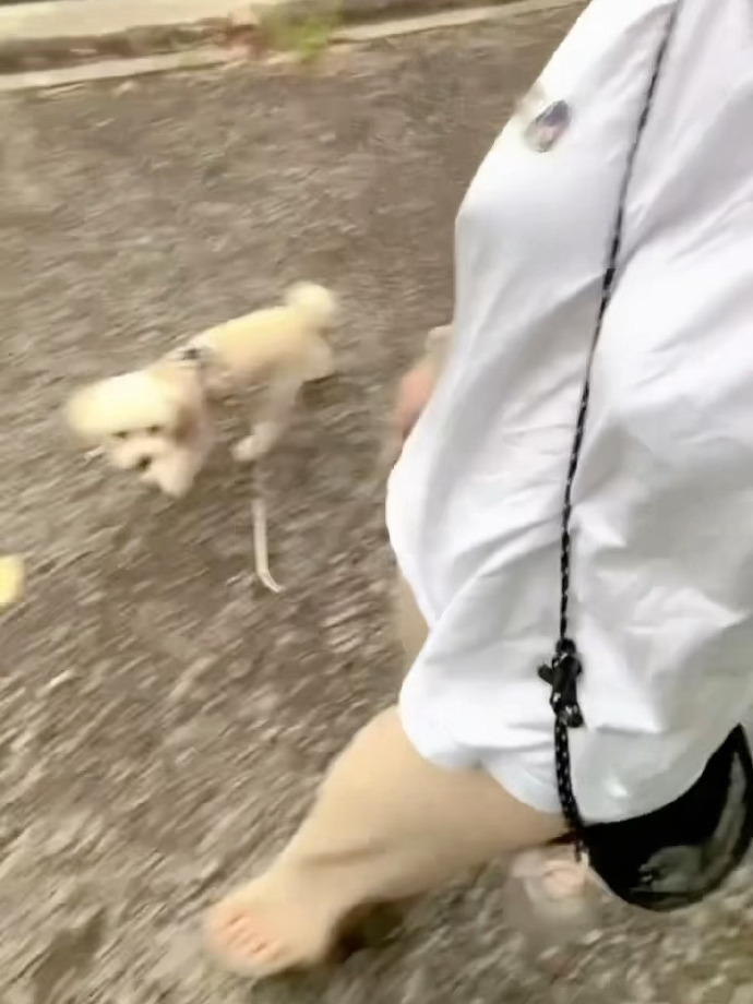 溜溜吧小小影视电影在线看溜溜吧，一个充满活力和乐趣的社交平台-第1张图片
