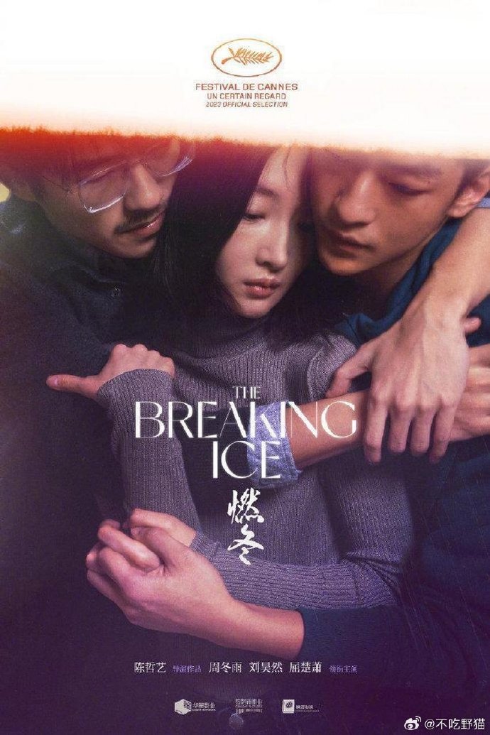 2019年最受瞩目的国语字幕电影-第3张图片
