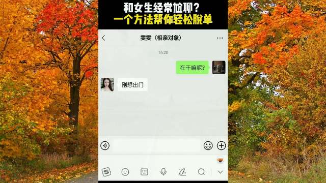 51吃瓜 网探索网络文化新潮流，51吃瓜网的魅力