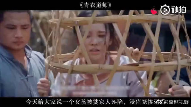 青青草VIP破解版，风险与后果的深度解析-第2张图片