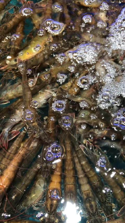 海角国精产品三区二区三区在线海角国精产品区域解析，三区二区之独特魅力-第1张图片
