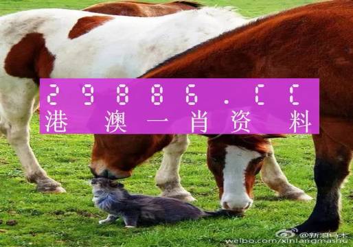 69无人区码一码二码三码区别69无人区码一码二码三码的深度解析