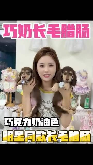 探索2019年最新福利视频，92视频的魅力与影响-第2张图片