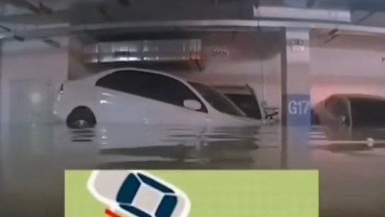 YW1168的持续升级，探索其最新归属-第1张图片