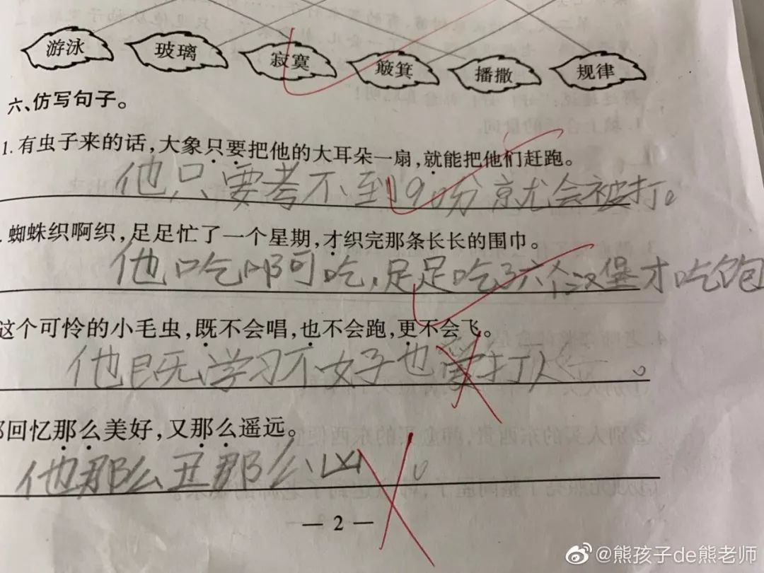 坐在老师的紫根上写作业紫根之上的学习之旅-第3张图片