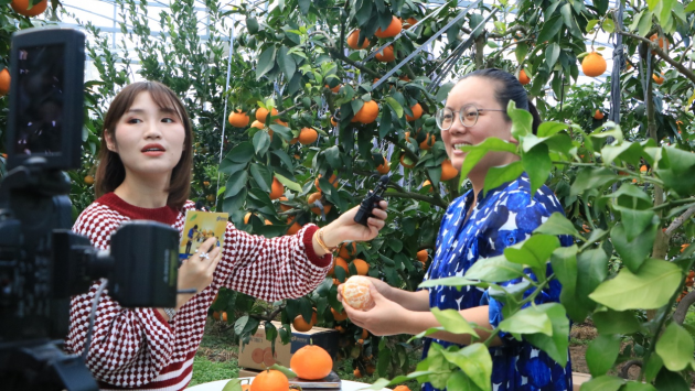 红豆直播app下载红豆直播app下载，探索全新直播体验-第2张图片