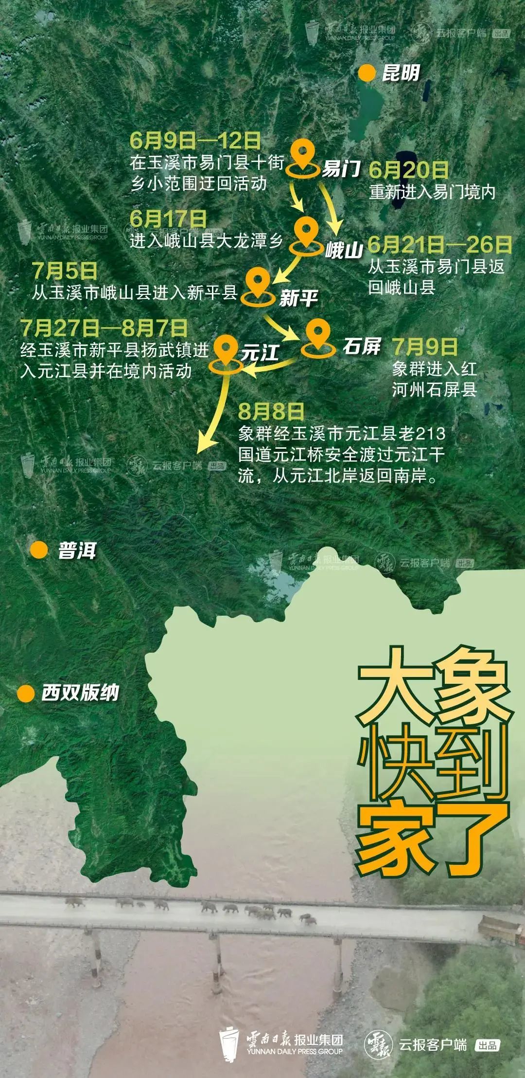 象群北迁象群北迁，一场跨越千里的生命之旅-第2张图片