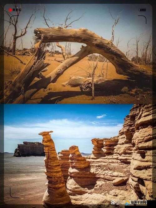 欧洲有无人区吗欧洲的无人区，神秘而迷人的自然之地-第2张图片