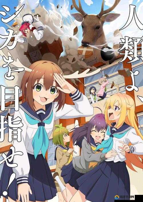 樱花动漫官方版正版，体验纯粹的动漫世界-第1张图片