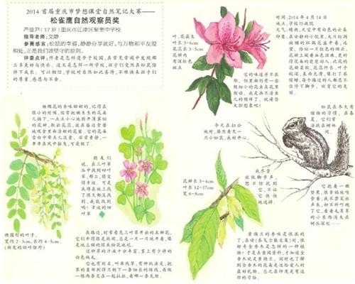 含羞草实验研究所入口免费网站直接进含羞草实验研究所，探索自然奥秘的免费开放平台-第1张图片