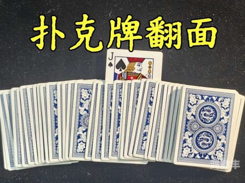 揭秘免费获取扑克牌高清照片的神奇软件-第3张图片