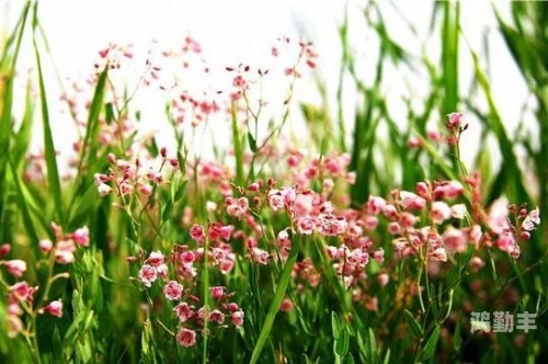 探索欧美无人区，码卡二卡3卡4免费使用指南-第1张图片