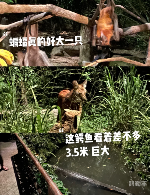 探索亚洲三级天堂的神秘之旅-第1张图片