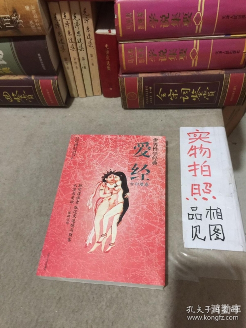 印度电影爱经的下载与赏析-第2张图片