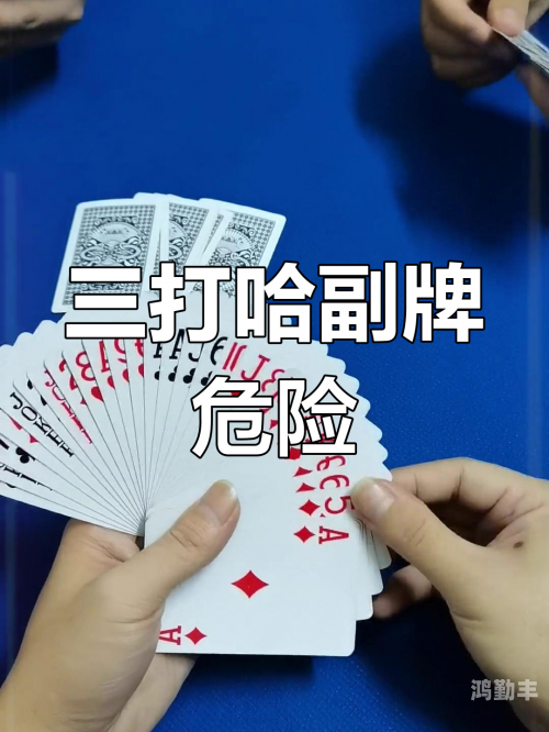 三打哈免费下载三打哈，传统扑克游戏的魅力与智慧-第2张图片