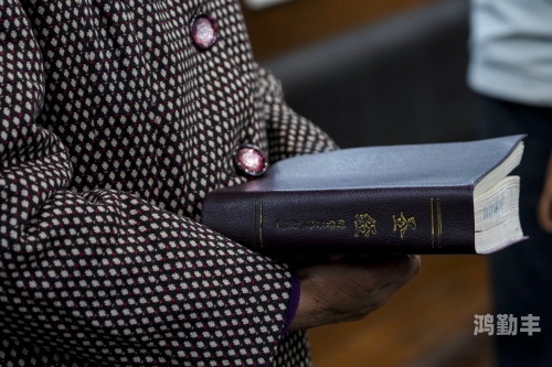 老师与跳D的奇妙课堂