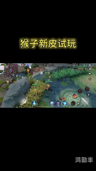 猴子新皮肤多少钱揭秘猴子新皮肤价格，你准备好了吗？-第3张图片