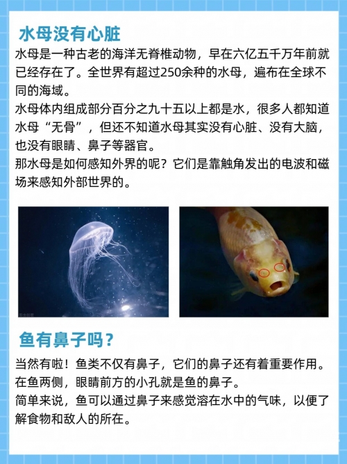 啃书网小说啃书网，知识的海洋，探索的航道-第2张图片
