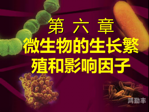 生物老师拿自己当做繁衍例子犯法吗生物课堂上的独特教学——生物老师以自身为繁衍实例-第1张图片